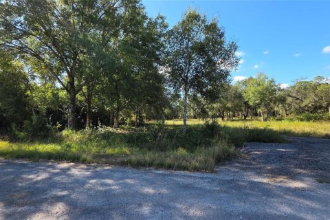 Immobilier commercial à vendre à Clewiston, Floride № 2082536 - photo 5