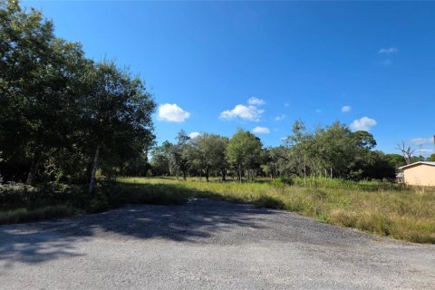 Immobilier commercial à Clewiston, Floride № 2082536