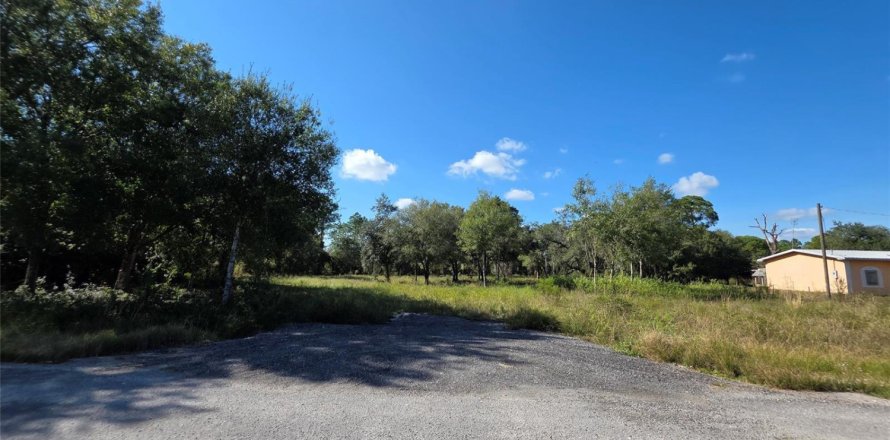 Immobilier commercial à Clewiston, Floride № 2082536