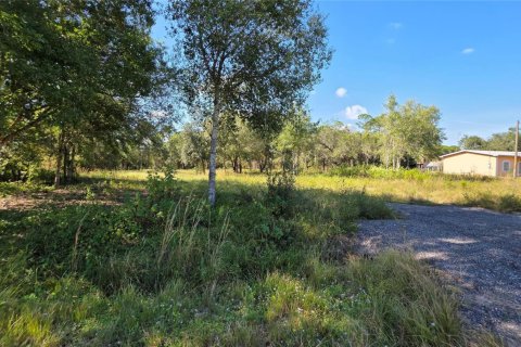 Immobilier commercial à vendre à Clewiston, Floride № 2082536 - photo 7