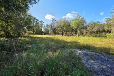 Immobilier commercial à vendre à Clewiston, Floride № 2082536 - photo 8