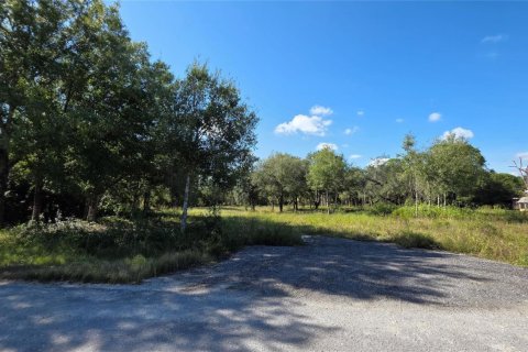 Immobilier commercial à vendre à Clewiston, Floride № 2082536 - photo 4