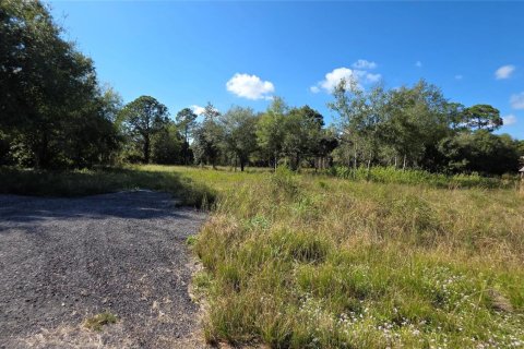 Immobilier commercial à vendre à Clewiston, Floride № 2082536 - photo 11