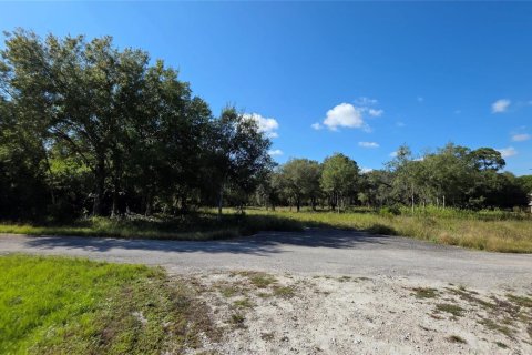 Immobilier commercial à vendre à Clewiston, Floride № 2082536 - photo 13