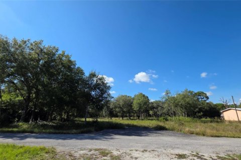 Immobilier commercial à vendre à Clewiston, Floride № 2082536 - photo 12