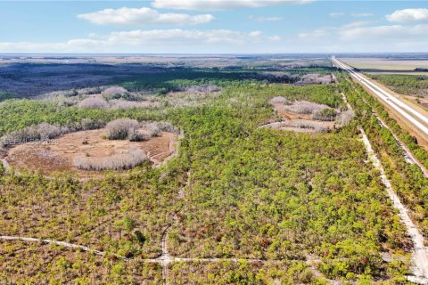 Land in Indiantown, Florida № 2182218 - photo 24
