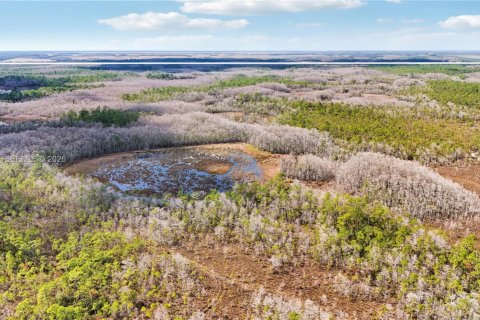 Land in Indiantown, Florida № 2182218 - photo 11