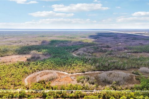 Land in Indiantown, Florida № 2182218 - photo 29