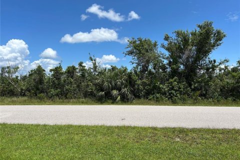 Land in Port Charlotte, Florida № 2164897 - photo 7