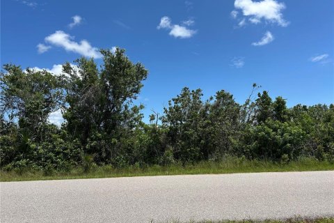 Land in Port Charlotte, Florida № 2164897 - photo 9