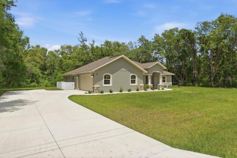 House in Hernando, Florida 3 bedrooms, 186.64 sq.m. № 2094405 - photo 3