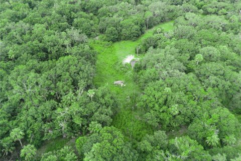 Terreno en venta en Frostproof, Florida № 1796837 - foto 10