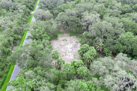 Terreno en venta en Frostproof, Florida № 1796837 - foto 2