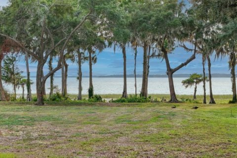 Land in Tavares, Florida № 1681068 - photo 10