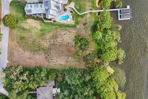 Land in Tavares, Florida № 1681068 - photo 6