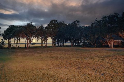 Land in Tavares, Florida № 1681068 - photo 14