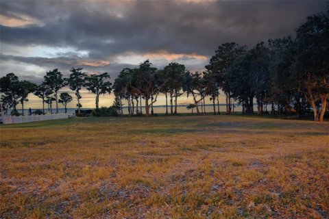 Land in Tavares, Florida № 1681068 - photo 12