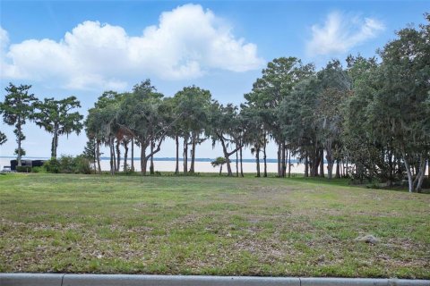 Land in Tavares, Florida № 1681068 - photo 11