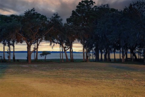 Land in Tavares, Florida № 1681068 - photo 13