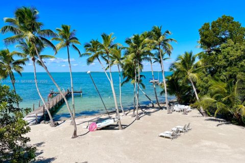 Villa ou maison à louer à Key Largo, Floride: 4 chambres, 213.68 m2 № 1997334 - photo 6