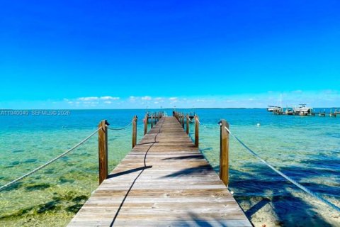 Villa ou maison à louer à Key Largo, Floride: 4 chambres, 213.68 m2 № 1997334 - photo 21