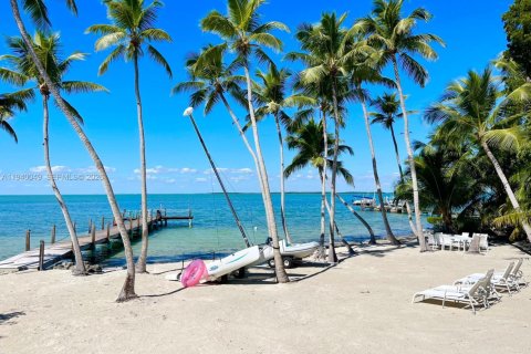 Villa ou maison à louer à Key Largo, Floride: 4 chambres, 213.68 m2 № 1997334 - photo 12