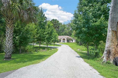 House in Reddick, Florida 3 bedrooms, 231.79 sq.m. № 2259426 - photo 3