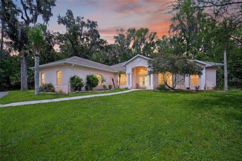 House in Reddick, Florida 3 bedrooms, 231.79 sq.m. № 2259426