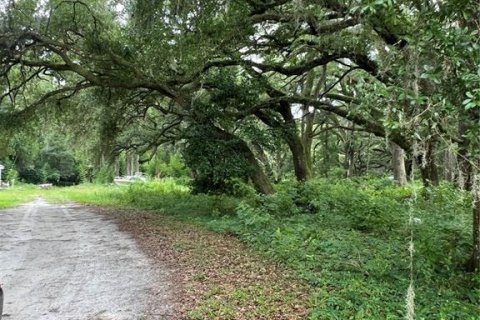 Terreno en venta en Gainesville, Florida № 1831912 - foto 6