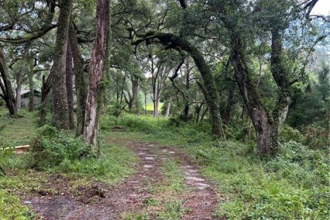 Terreno en venta en Gainesville, Florida № 1831912 - foto 1