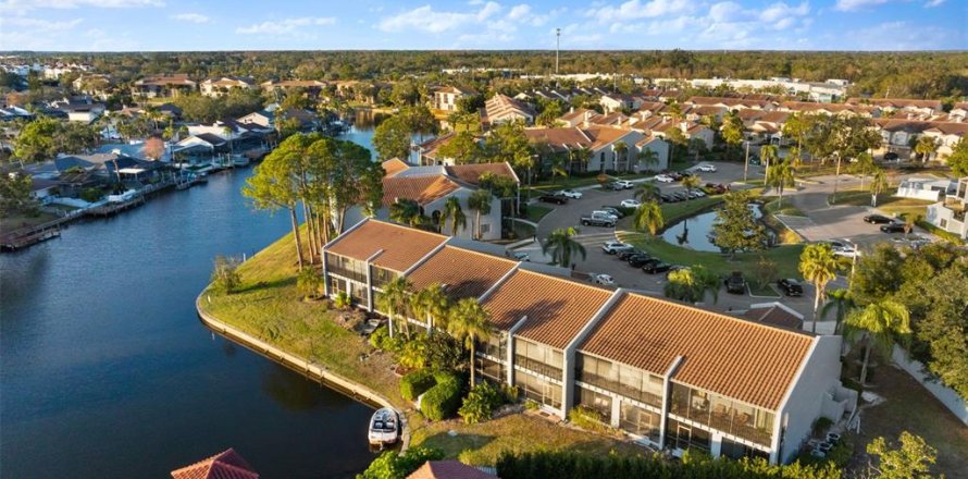 Townhouse in Tampa, Florida 2 bedrooms, 134.43 sq.m. № 1528647