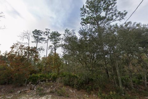 Terrain à vendre à Ocklawaha, Floride № 2164928 - photo 5