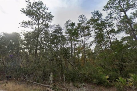 Terrain à vendre à Ocklawaha, Floride № 2164928 - photo 6