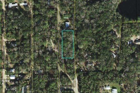 Land in Crawfordville, Florida № 1847507 - photo 3