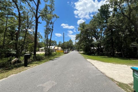 Land in Crawfordville, Florida № 1847507 - photo 6