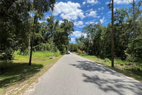 Land in Crawfordville, Florida № 1847507 - photo 8