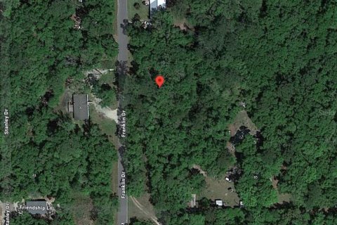 Land in Crawfordville, Florida № 1847507 - photo 1