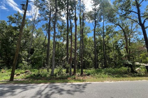 Land in Crawfordville, Florida № 1847507 - photo 5
