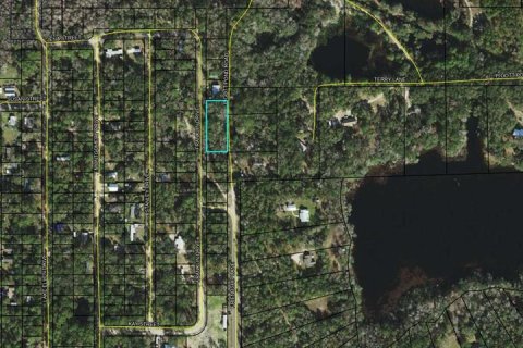 Land in Crawfordville, Florida № 1847507 - photo 2