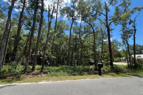 Land in Crawfordville, Florida № 1847507 - photo 7