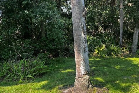 Copropriété à louer à Deltona, Floride: 2 chambres, 83.33 m2 № 2390813 - photo 25