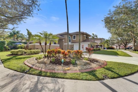 House in Cooper City, Florida 5 bedrooms, 356.93 sq.m. № 2181391