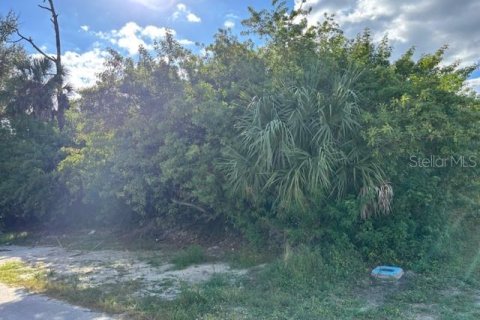 Land in Port Charlotte, Florida № 2210741 - photo 3