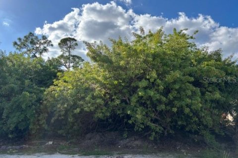 Land in Port Charlotte, Florida № 2210741 - photo 2