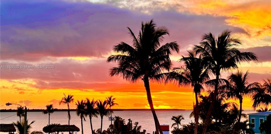 Casa en Tavernier, Florida 3 dormitorios, 197.7 m2 № 2014379