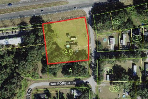 Land in Kissimmee, Florida № 217417 - photo 3