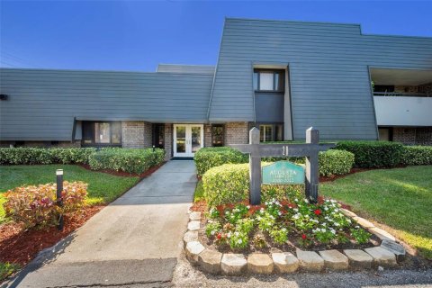Condo à Palm Harbor, Floride, 2 chambres  № 2212951