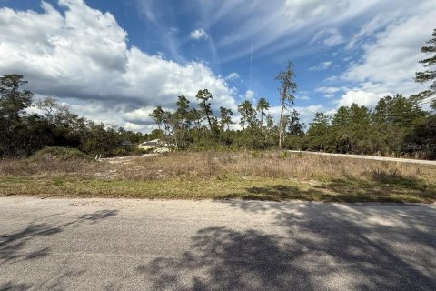 Terrain à vendre à Ocklawaha, Floride № 2236615 - photo 2