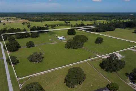 Terreno en venta en Ocala, Florida № 1541509 - foto 13