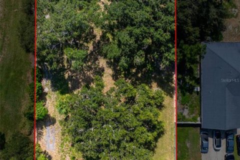 Land in Largo, Florida № 1337949 - photo 7